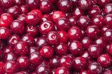 Lesklá makro fotografie čerstvých brusinek