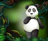 Panda v kouzelném lese