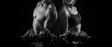 Síla a harmonie ve fitness prostoru