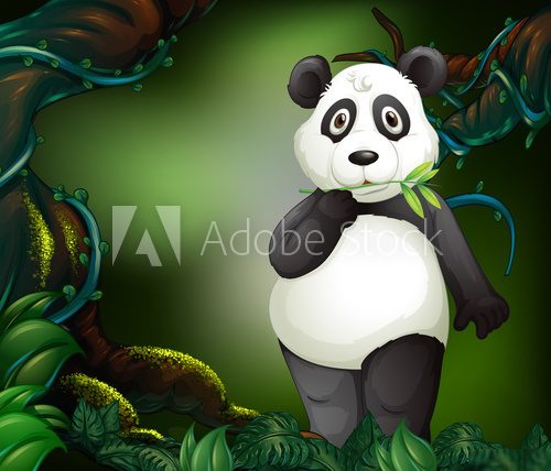 Panda v kouzelném lese