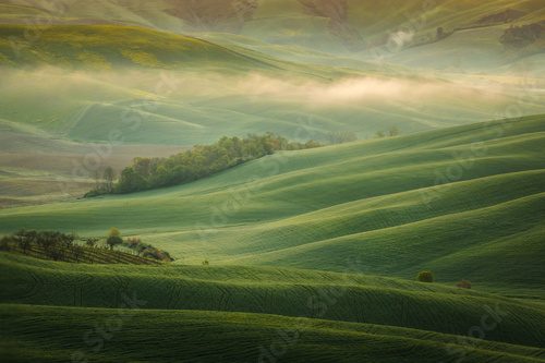 Panorama zelené krajiny v mlze