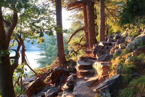 Sluneční stezka lesem