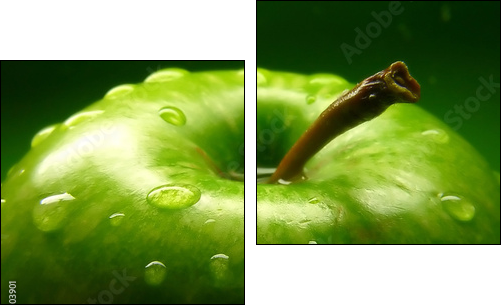 green apple - Two-piece canvas, Diptych