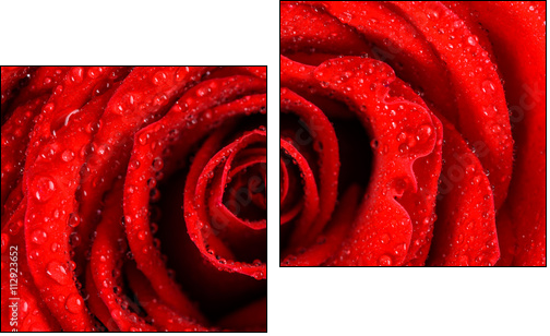Wet Red Rose Close Up With Water Drops - Two-piece canvas, Diptych