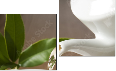 tea - Two-piece canvas, Diptych