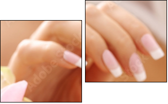 hands care. Female hands holding rose petals - Two-piece canvas, Diptych