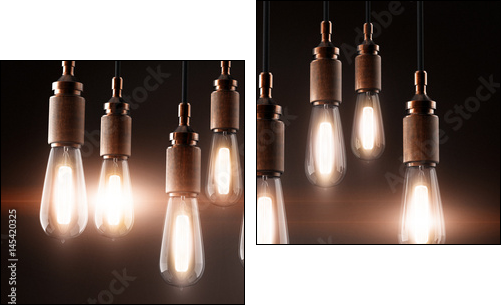 vintage light bulbs - Two-piece canvas, Diptych