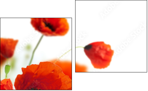 floral design, decoration flowers, poppies border - corner - Two-piece canvas, Diptych