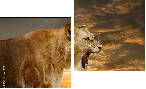 LÃ¶we 001 - Two-piece canvas, Diptych