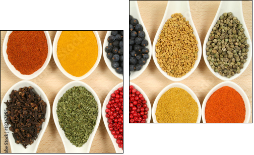 Colorful spices - Two-piece canvas, Diptych