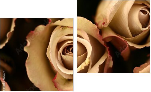roses flower closeup - Two-piece canvas, Diptych
