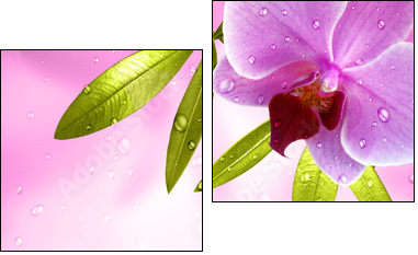 Wellness Motiv mit Orchidee - Two-piece canvas, Diptych