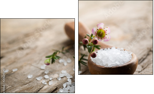 Bath salt - Two-piece canvas, Diptych