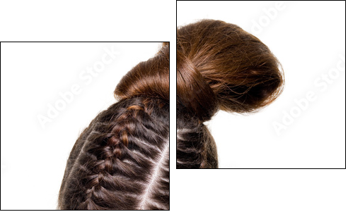 Beauty pigtails - Two-piece canvas, Diptych