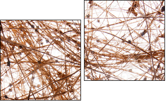 sisal background - Two-piece canvas, Diptych