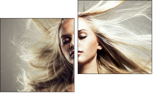 Beautiful woman with magnificent hair - Two-piece canvas, Diptych