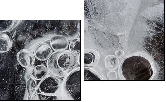 frostbound bubbles like grapes - Two-piece canvas, Diptych