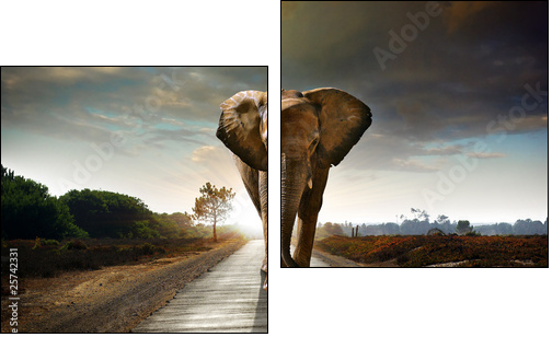 Walking Elephant - Two-piece canvas, Diptych