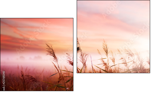 Foggy Landscape.Early Morning Mist. - Two-piece canvas, Diptych