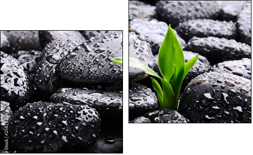 Spa concept - Two-piece canvas, Diptych