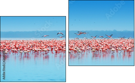 African flamingos - Two-piece canvas, Diptych