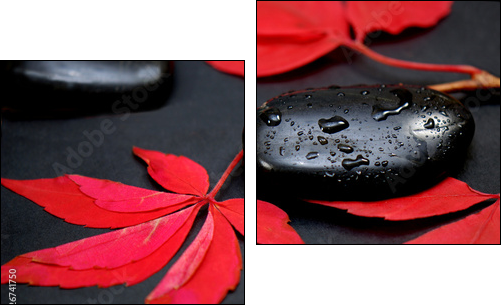 Schwarzer Stein - Two-piece canvas, Diptych