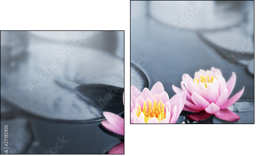 Lotus blossoms - Two-piece canvas, Diptych