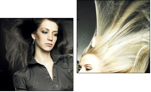 Woman in a beauty salon - Two-piece canvas, Diptych