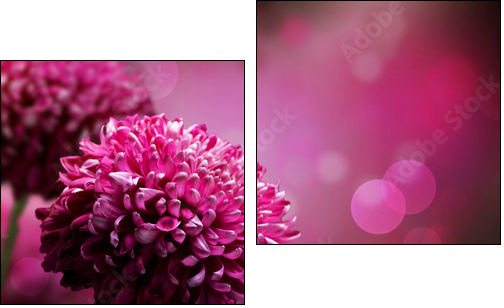 Dahlia Autumn flower design. With copy-space - Two-piece canvas, Diptych