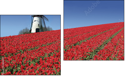 dutch mill and red tulips - Two-piece canvas, Diptych