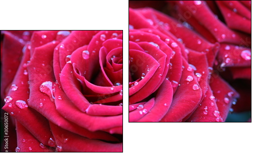 Red rose with dew - Two-piece canvas, Diptych