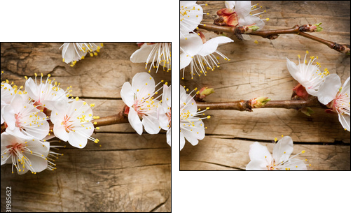 Wood background with spring blossom - Two-piece canvas, Diptych