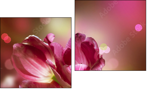 Flowers. Anniversary Card Design - Two-piece canvas, Diptych