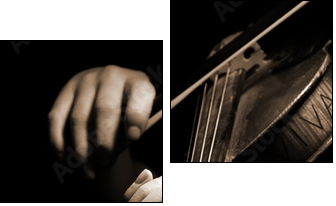 Musician playing violin isolated on black - Two-piece canvas, Diptych