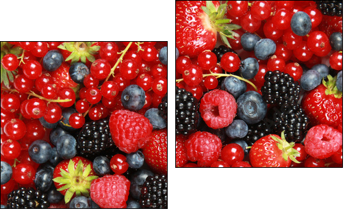 Beeren - Two-piece canvas, Diptych