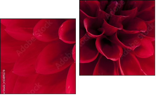 Dahlia - Two-piece canvas, Diptych