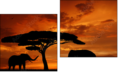 Silhouette two elephants in the sunset - Two-piece canvas, Diptych