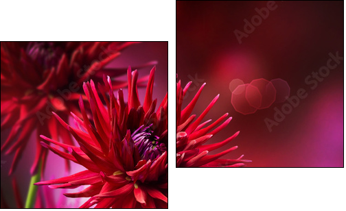 Dahlia Autumn flower design - Two-piece canvas, Diptych