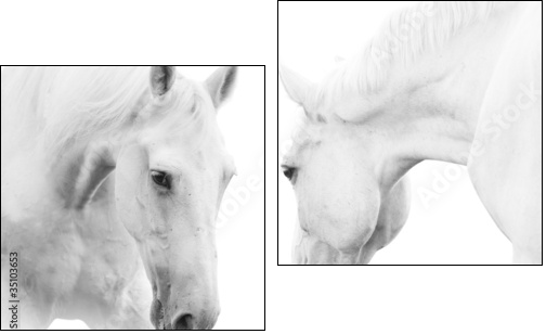 white horses - Two-piece canvas, Diptych