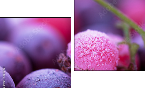 Frozen berries - Two-piece canvas, Diptych