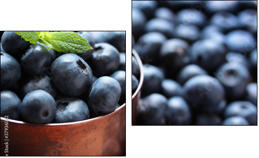 Blueberries - Two-piece canvas, Diptych