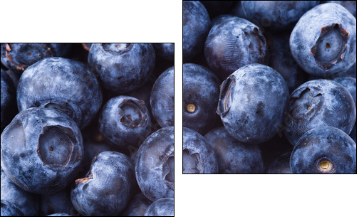 many blueberries - Two-piece canvas, Diptych