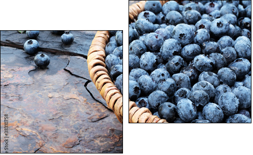 Fresh Blueberries - Two-piece canvas, Diptych