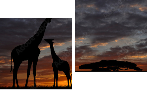 giraffes in the sunset - Two-piece canvas, Diptych