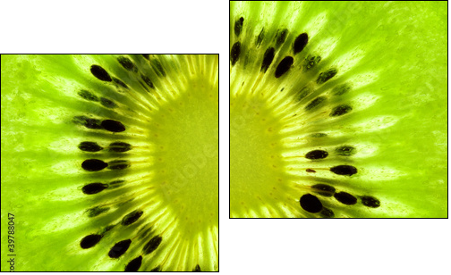 Fresh Kiwi background / SuperMacro / back lit - Two-piece canvas, Diptych