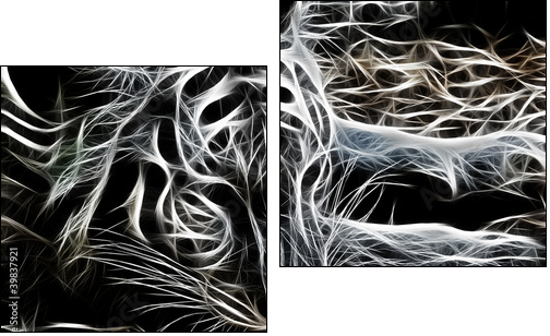 Tiger - Two-piece canvas, Diptych