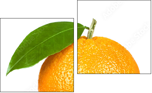 Ripe orange isolated on white background - Two-piece canvas, Diptych