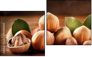 Gruppo di Nocciole - Two-piece canvas, Diptych
