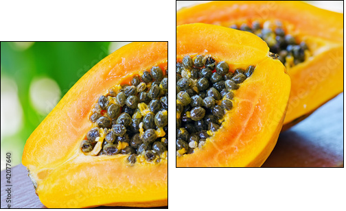 papaya - Two-piece canvas, Diptych