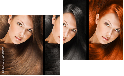 collage of a beautiful young woman , with long natural straight  - Two-piece canvas, Diptych